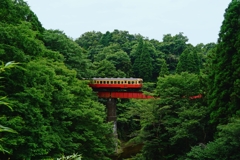 小湊鉄道らしい風景