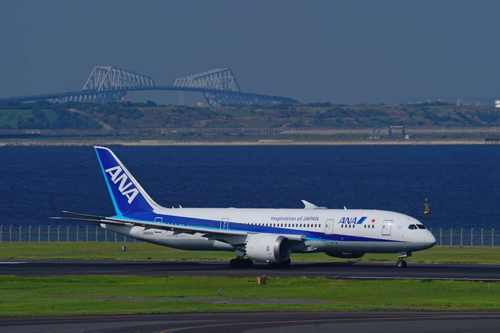 飛行機と一緒に撮るもの