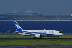 飛行機と一緒に撮るもの