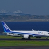 飛行機と一緒に撮るもの