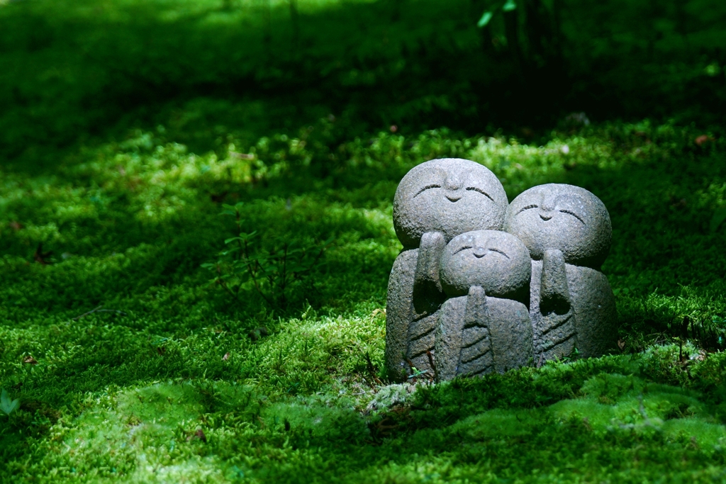 癒しの空間