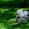 癒しの空間