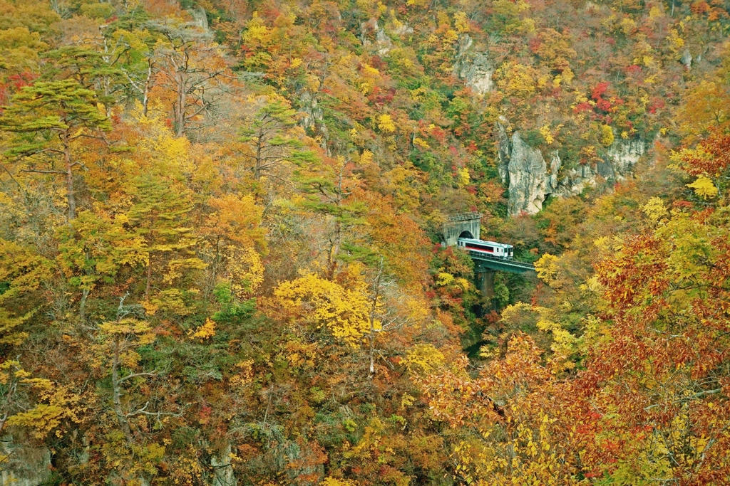 最強の紅葉に気分も高揚