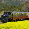春の里山トロッコ列車
