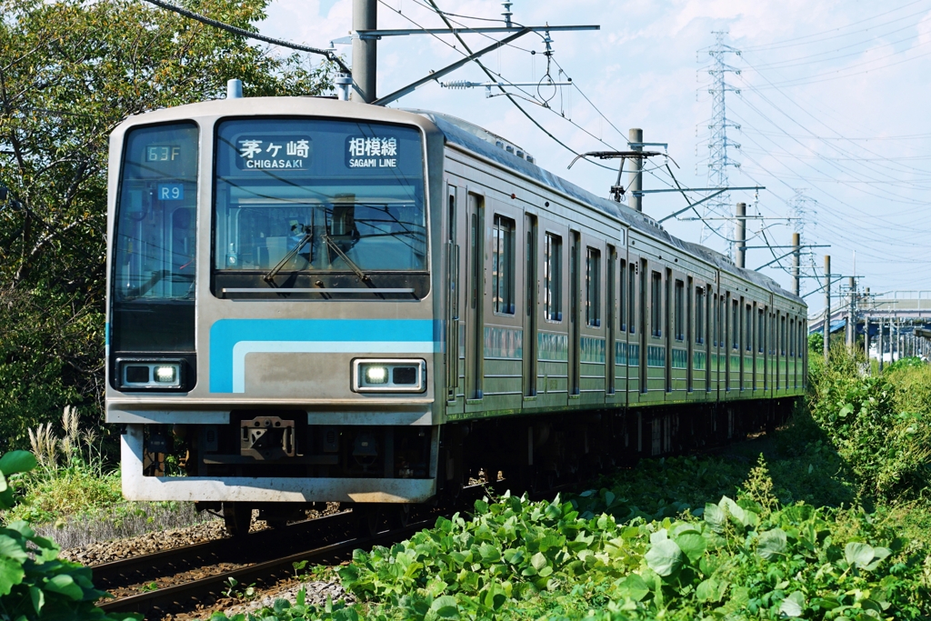 JR東日本の固有種...その①