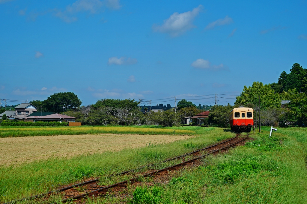 ここで何回ロケやったでしょう？