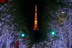 今年もこの季節がやってきました