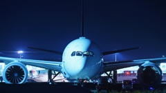 困ったときのはねだのみ！