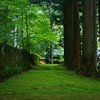 苔の古道
