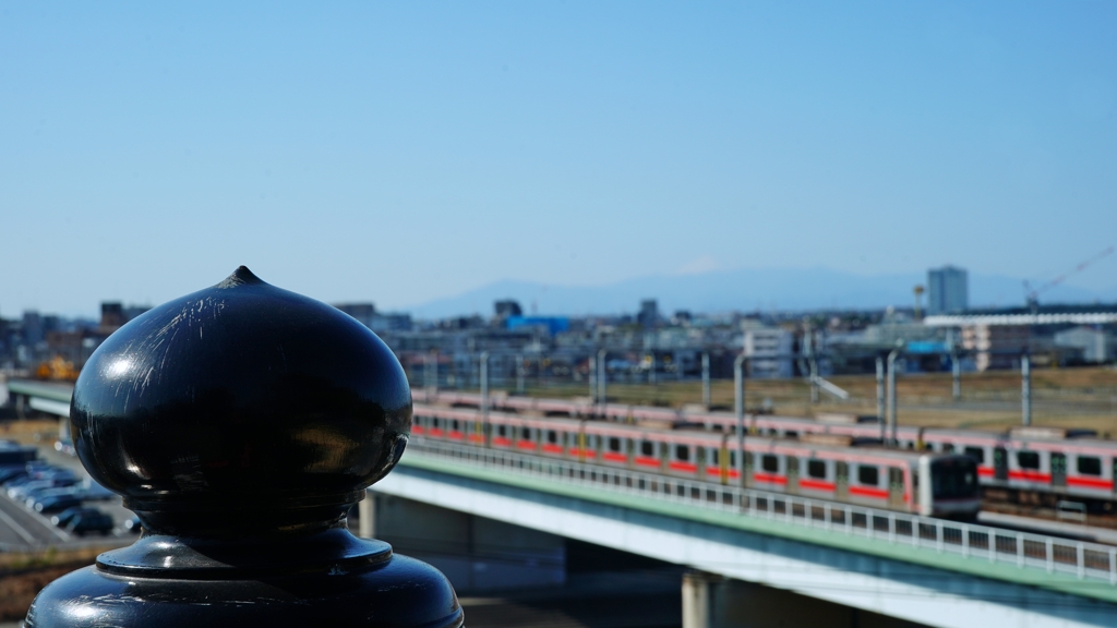 ブラックスライム発見！