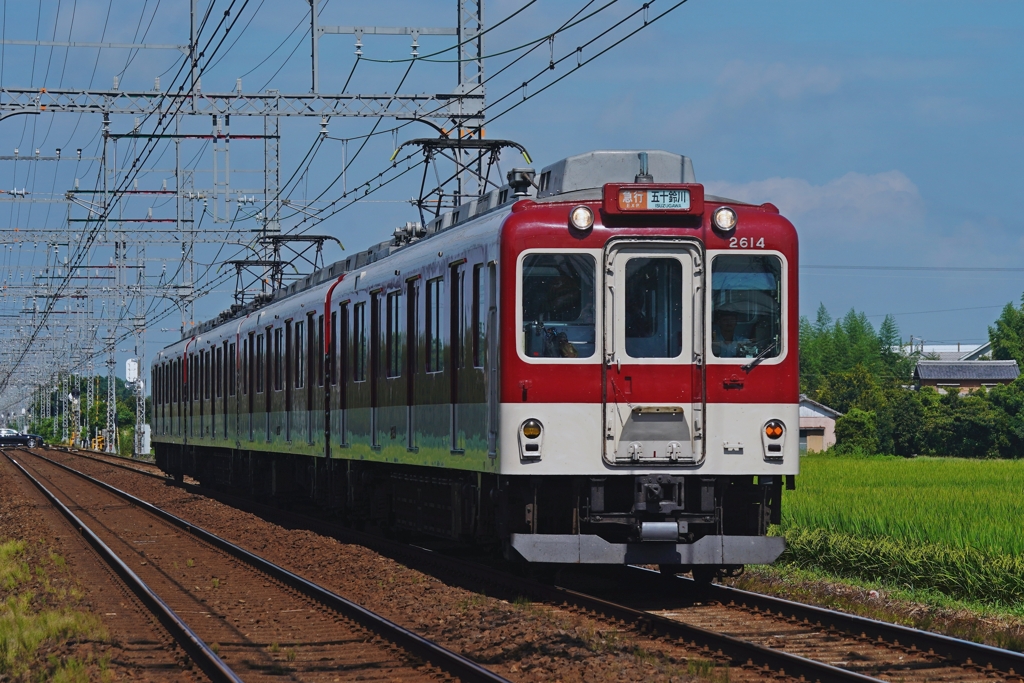 新たな撮り鉄ポイント