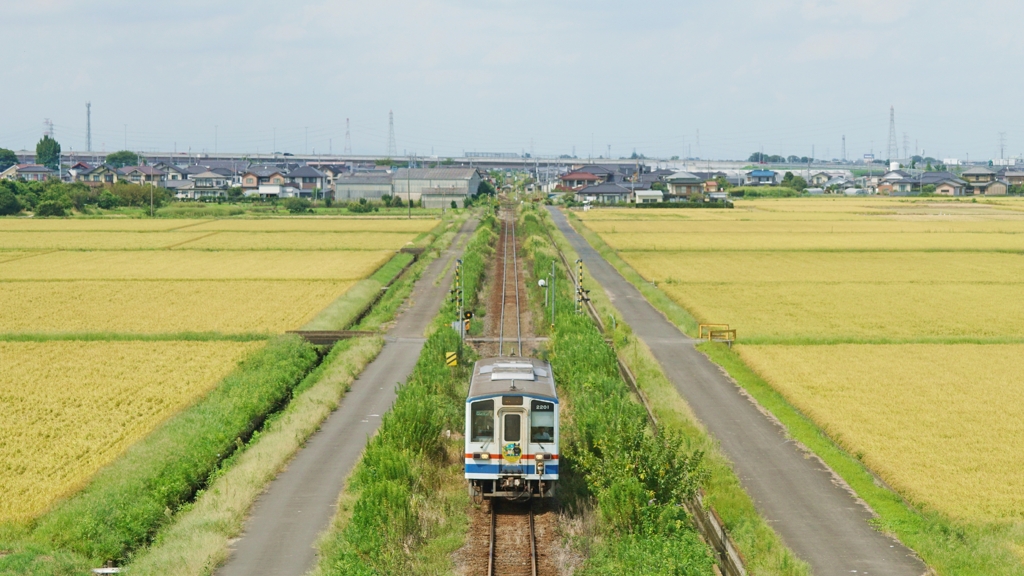 リベンジ失敗…