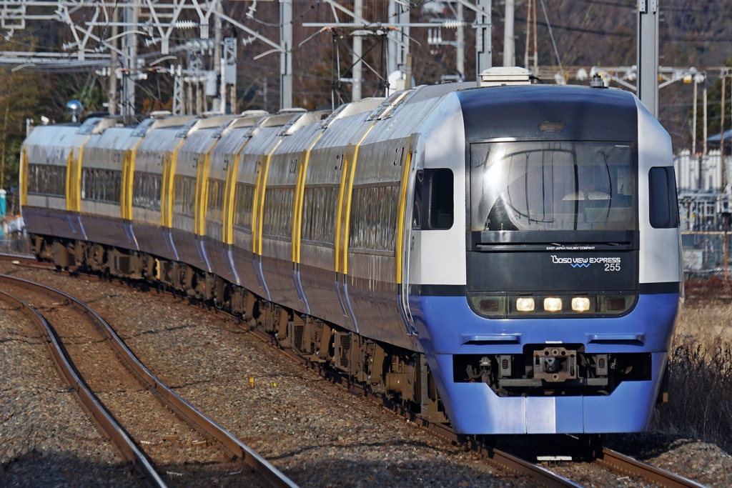 地道に頑張ってます
