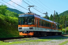 きららがやって来ました！