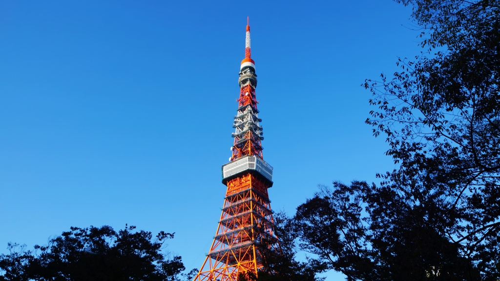 The Tokyo Tower！！！