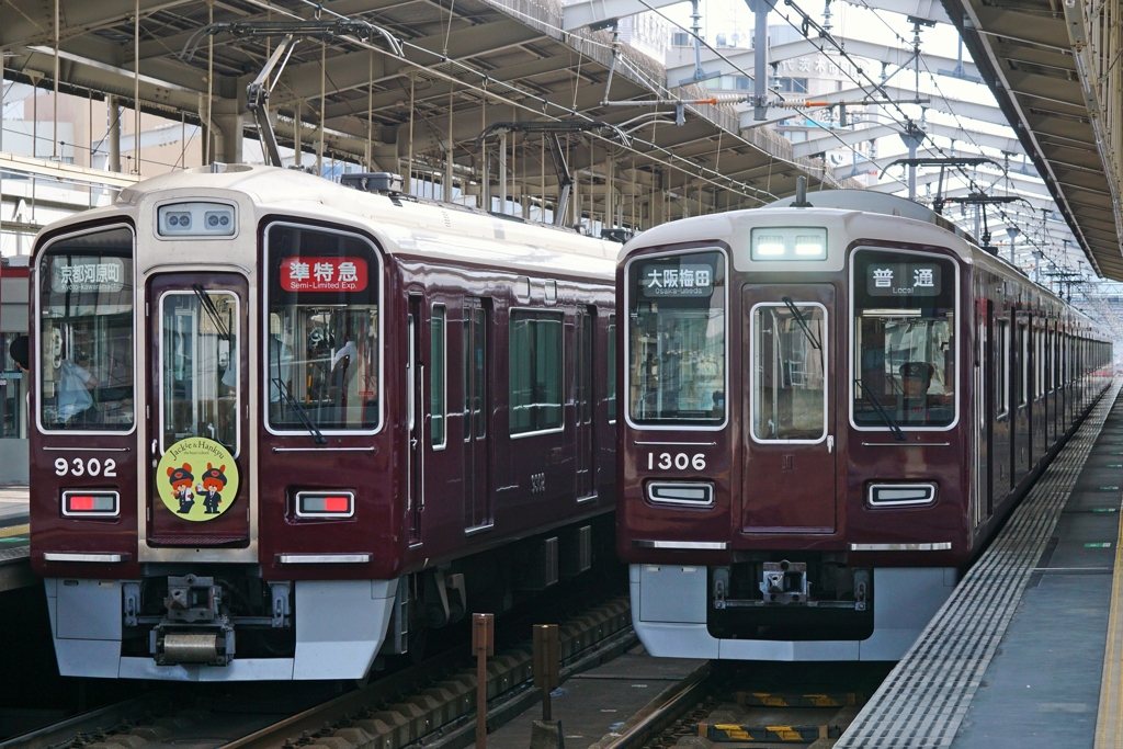 いつもピカピカ