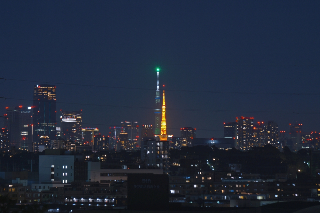 背比べ