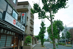 天一危うし？
