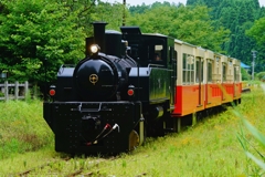 この列車の季節です！
