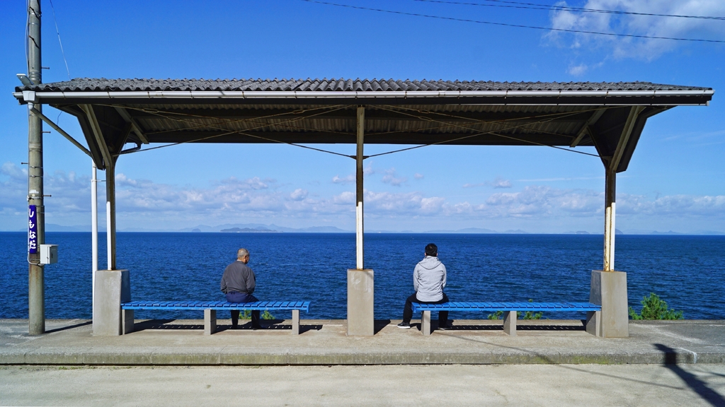 どこから来たの？