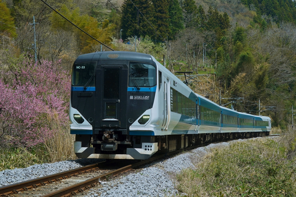 運がいいのか悪いのか？