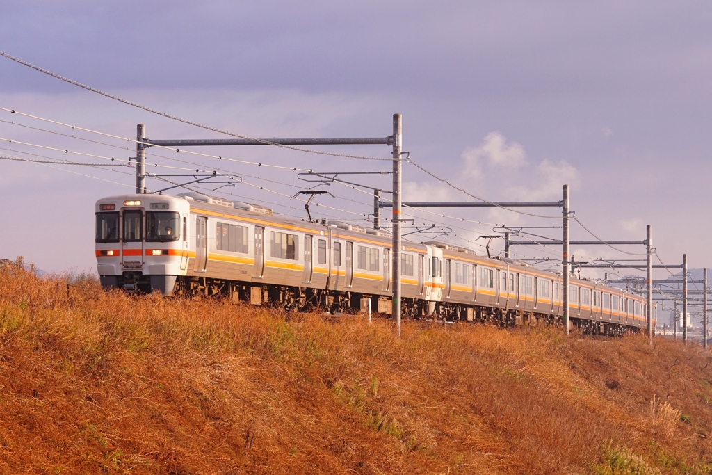 313系の日