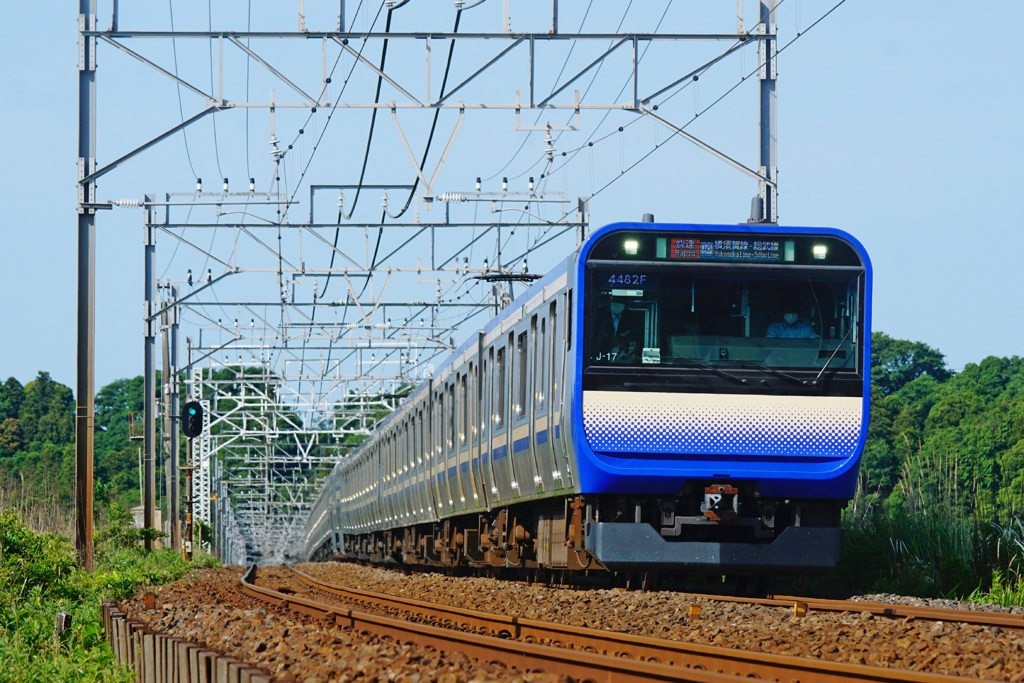 快走！スカレンジ