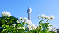 横浜のシンボル！今はひっそり…