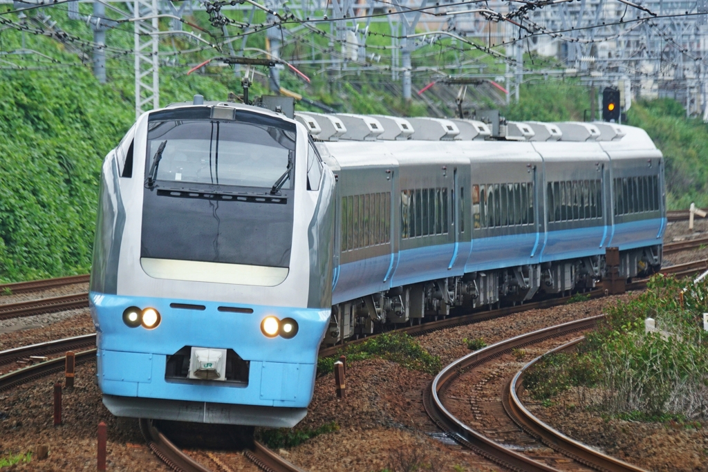 限定ものに心揺るがされる