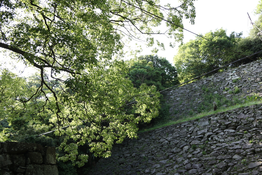 和歌山城