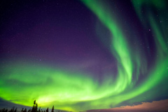 Aurora shooting with a yellowknife