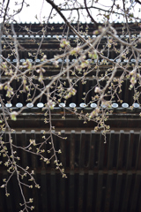 幾重にも幾重にも★