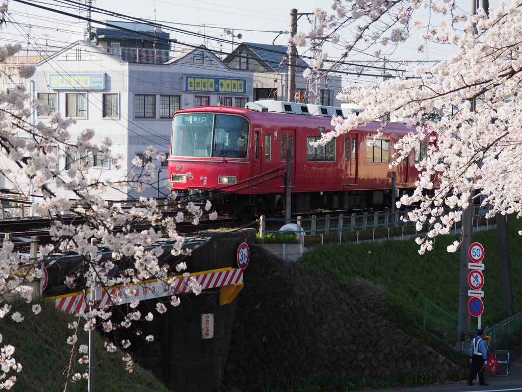 桜と電車