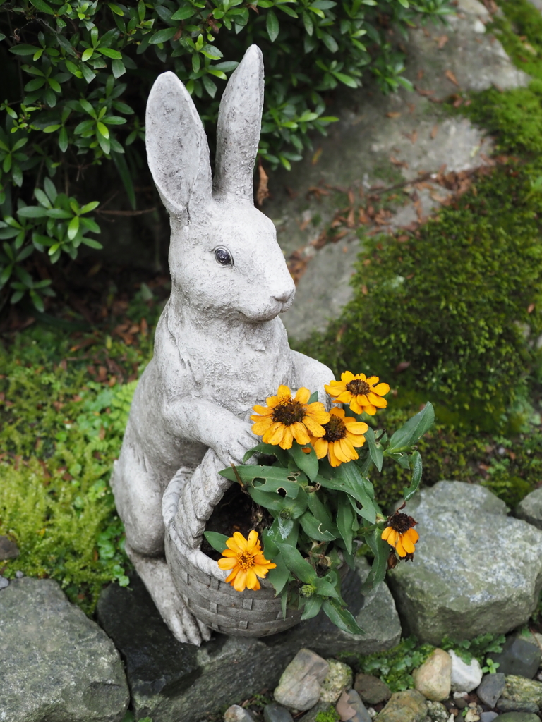 鎌倉 明月院のウサギ By とみーまさ Id 写真共有サイト Photohito