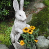 鎌倉 明月院のウサギ