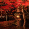 京都 永観堂禅林寺の紅葉 ライトアップ２