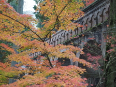 京都 南禅寺の紅葉