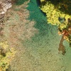 付知峡　綺麗な川と紅葉