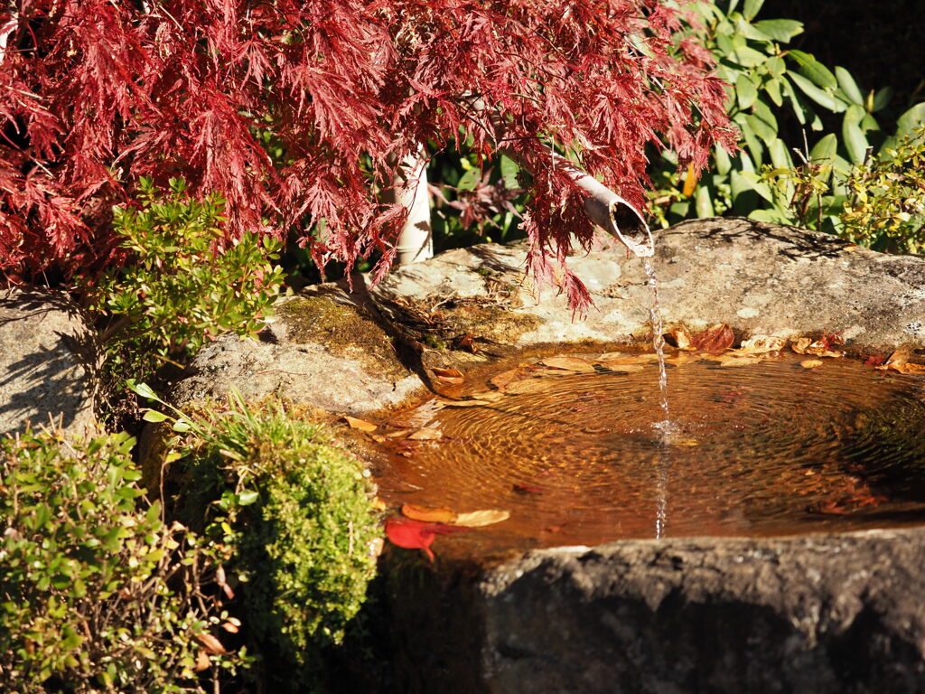 付知峡　不動滝　紅葉