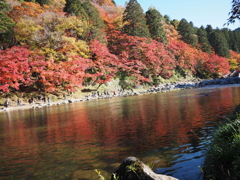 香嵐渓の紅葉３