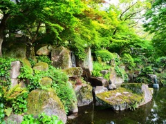 岐阜公園の自然