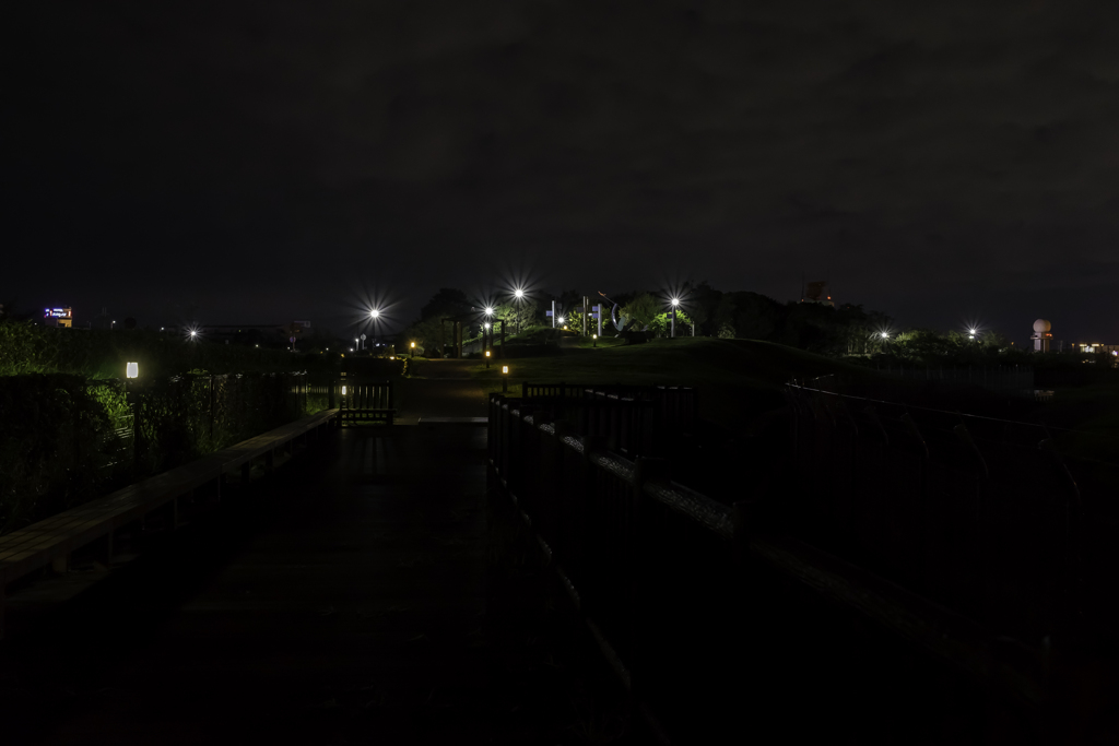 夜の公園