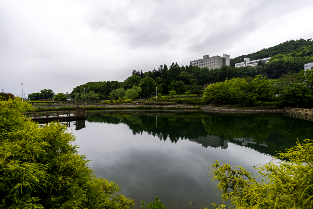 中池公園