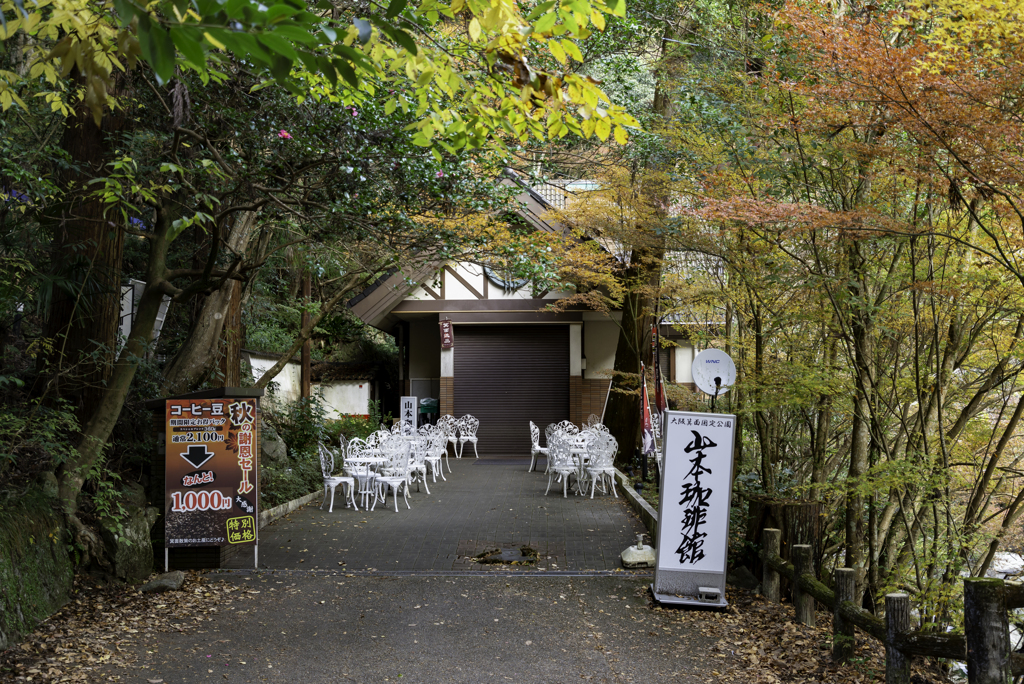 山本コーヒー