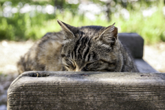 ゆっくり眠らせて