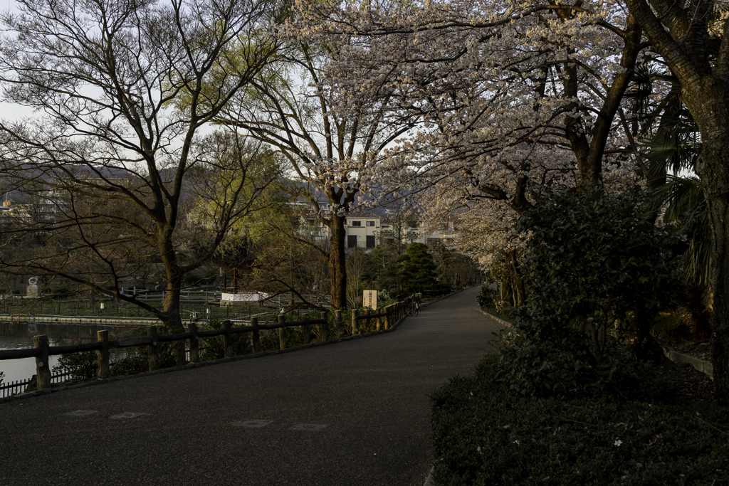 水月 2018・3月
