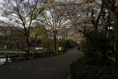 水月 2018・3月