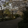 水月 2018・3月