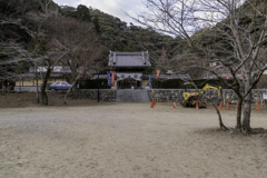 切り株のある龍安寺は期間限定