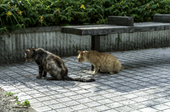 ねぇ～君は食べないの？